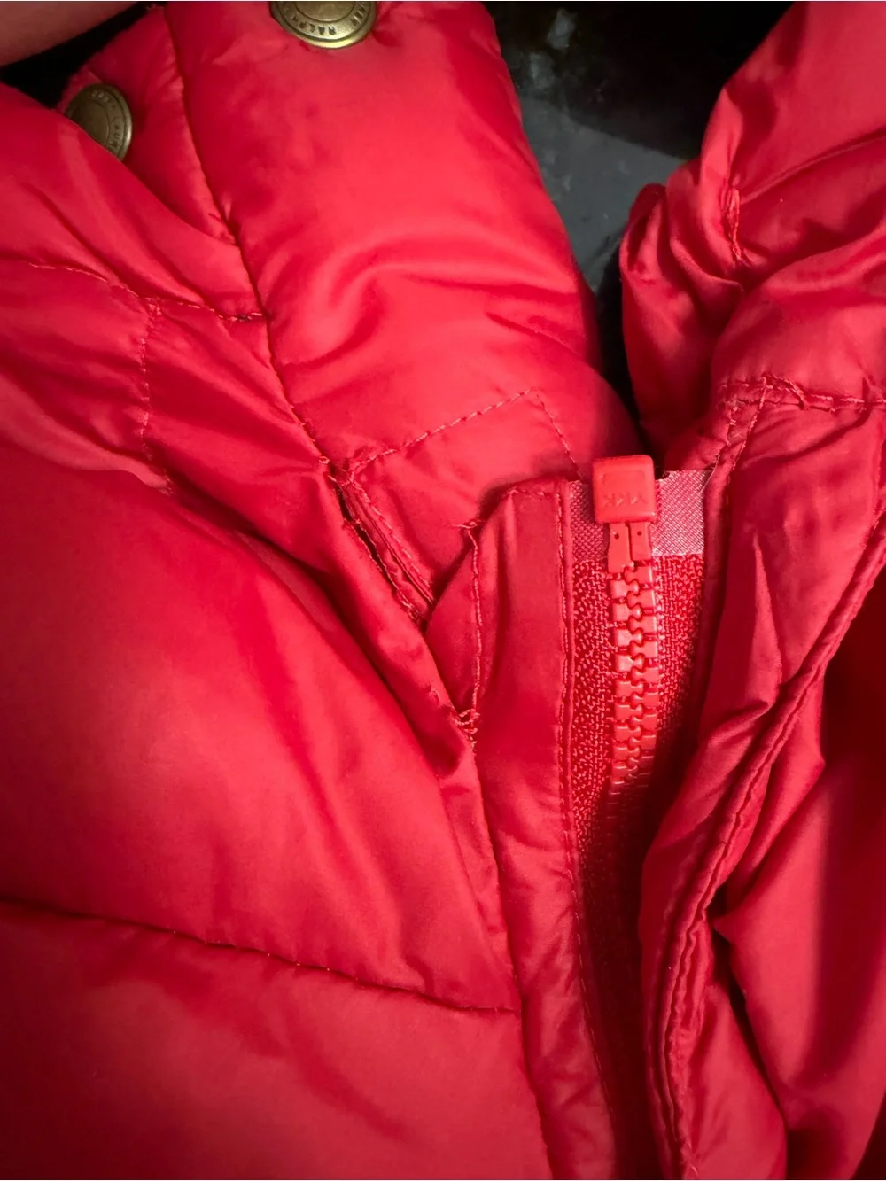 Polo by Ralph Lauren Red Puffer Jacket with Navy Trim